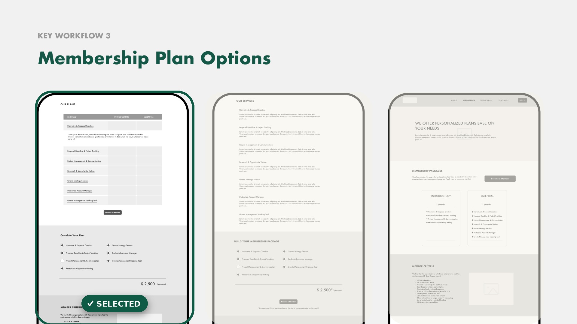 Mid-fidelity wireframes for three membership plan options