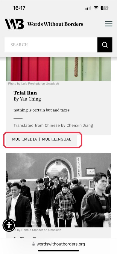 WWB mobile article card with the ambiguous Multimedia | Multilingual tag highlighted in red